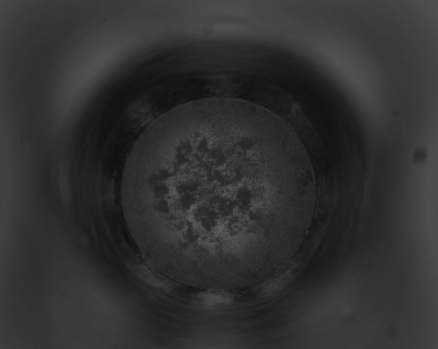 X0000093100765200710031459