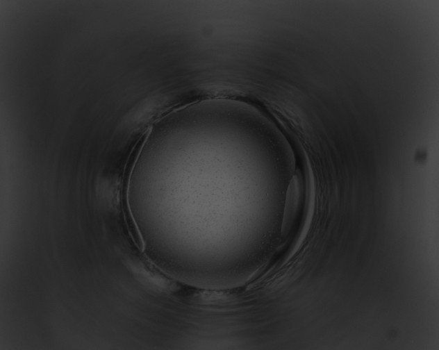 X0000093100766200710031459