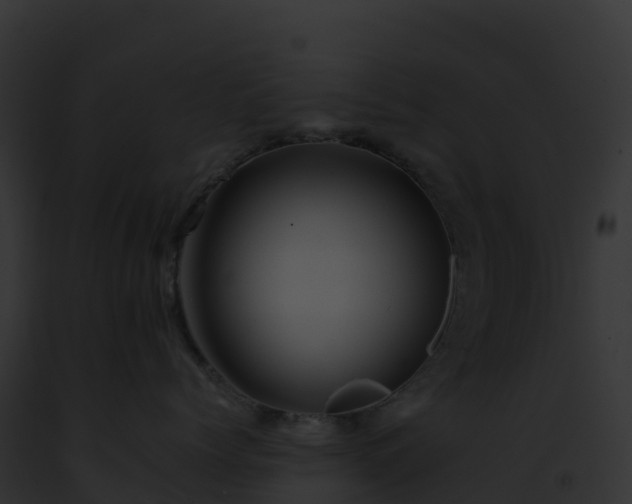 X0000093100768200710031459
