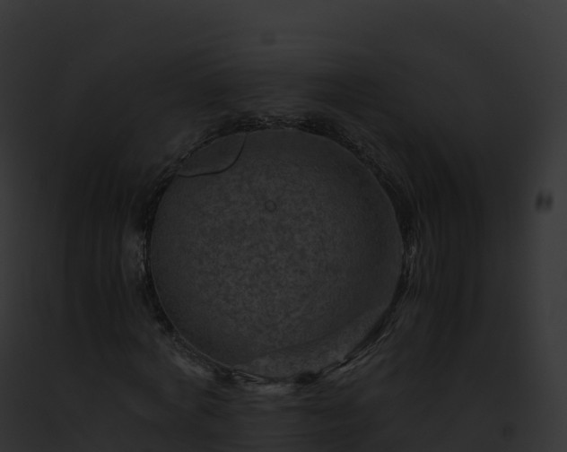 X0000093100772200710031458