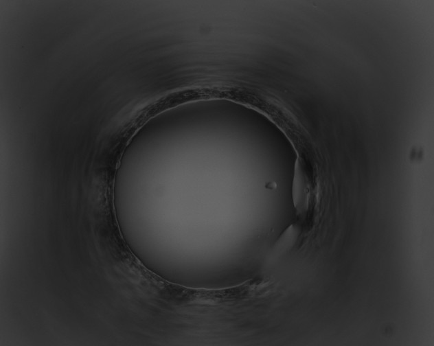 X0000093100773200710031458