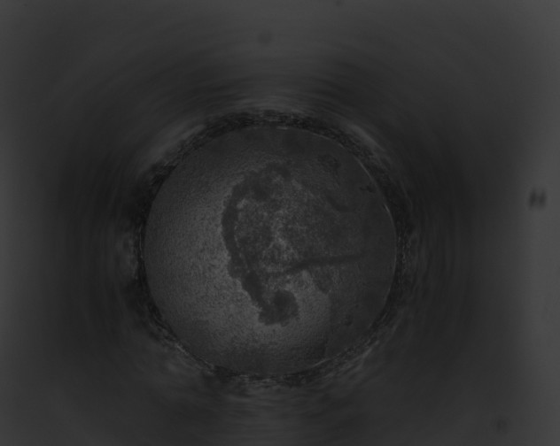X0000093100774200710031458
