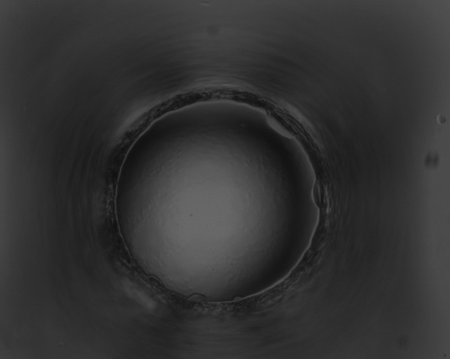 X0000093100775200710031458