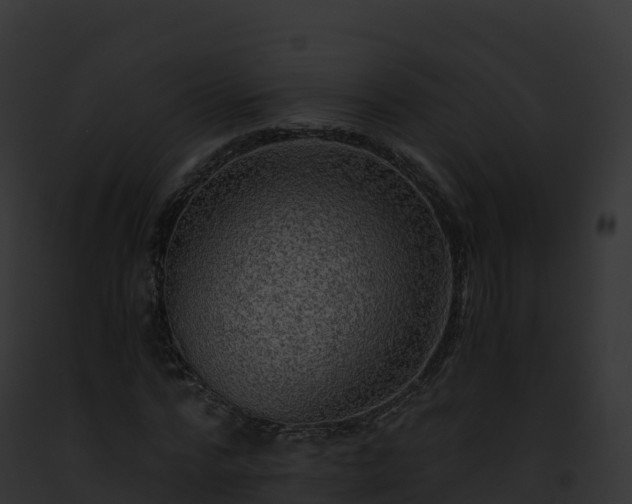 X0000093100776200710031458