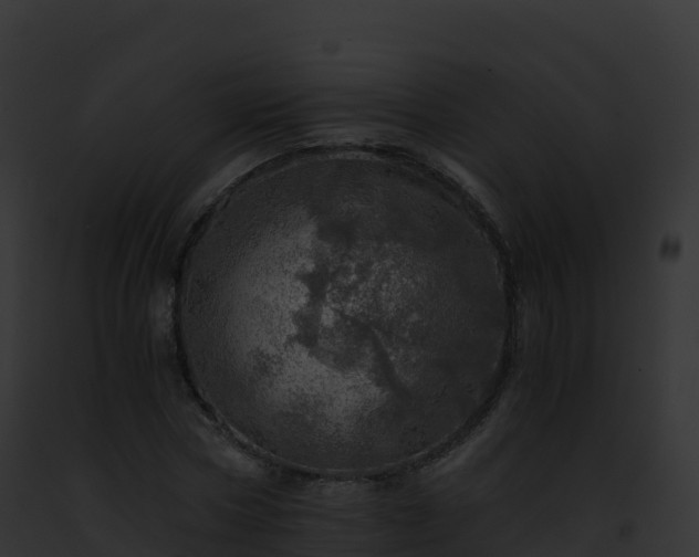 X0000093100778200710031458