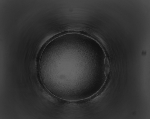 X0000093100779200710031458