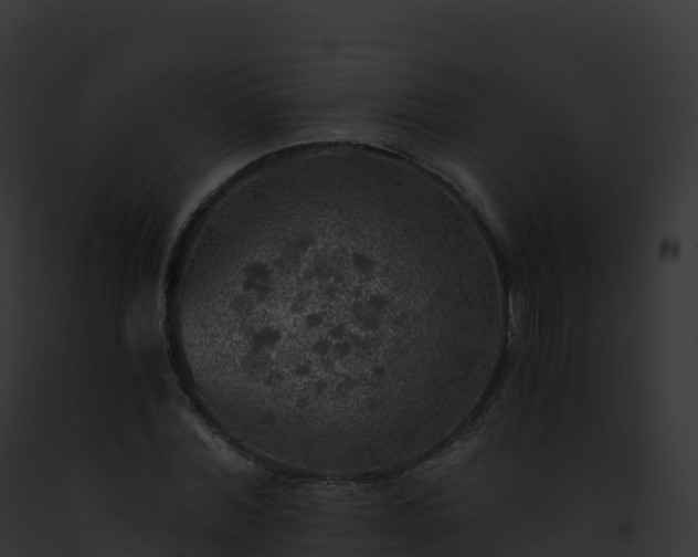 X0000093100780200710031458