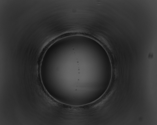 X0000093100781200710031458