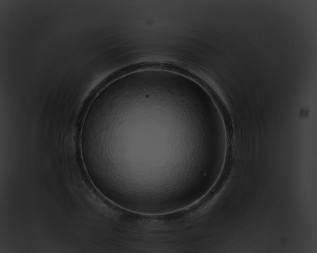 X0000093100783200710031458