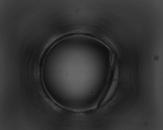 X0000093100784200710031458
