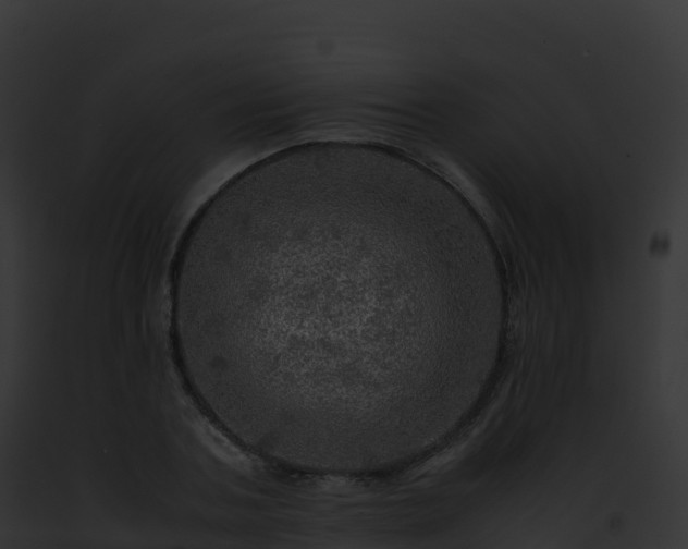 X0000093100787200710031458