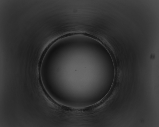 X0000093100789200710031458