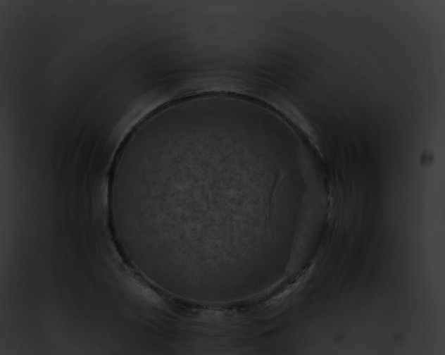 X0000093100790200710031458
