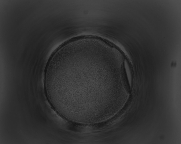 X0000093100791200710031458