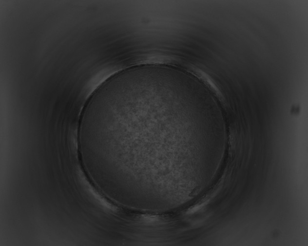 X0000093100794200710031458