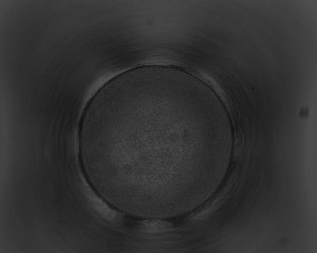 X0000093100795200710031458