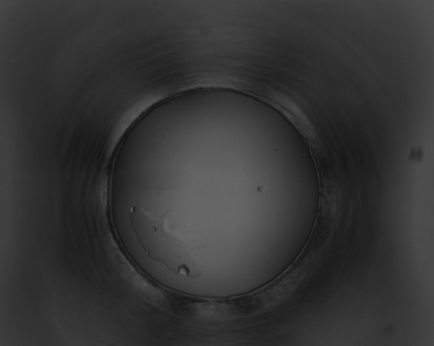 X0000093100804200710031458