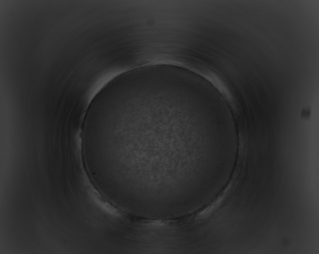 X0000093100814200710031458