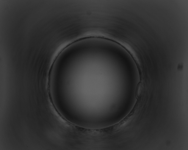 X0000093100815200710031458