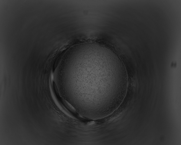 X0000093100818200710031457