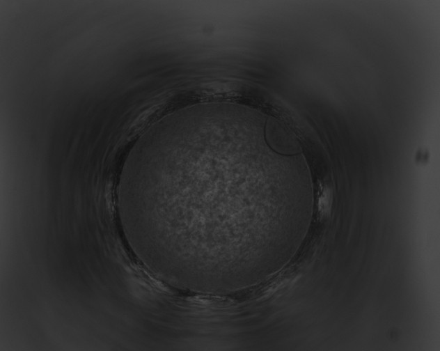 X0000093100819200710031457