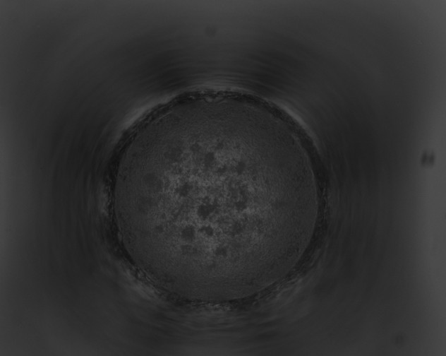 X0000093100823200710031457
