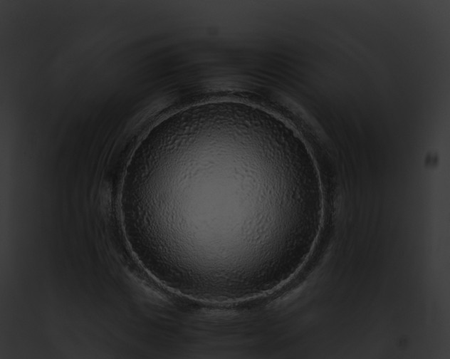 X0000093100825200710031457