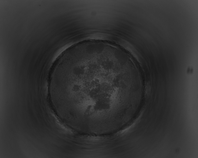 X0000093100829200710031457