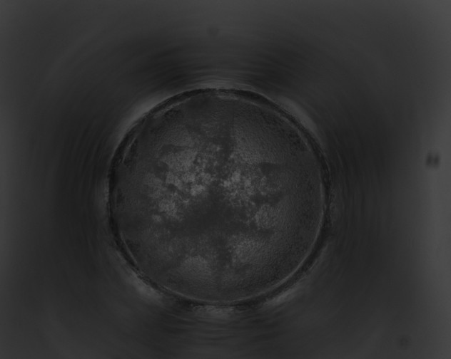 X0000093100831200710031457