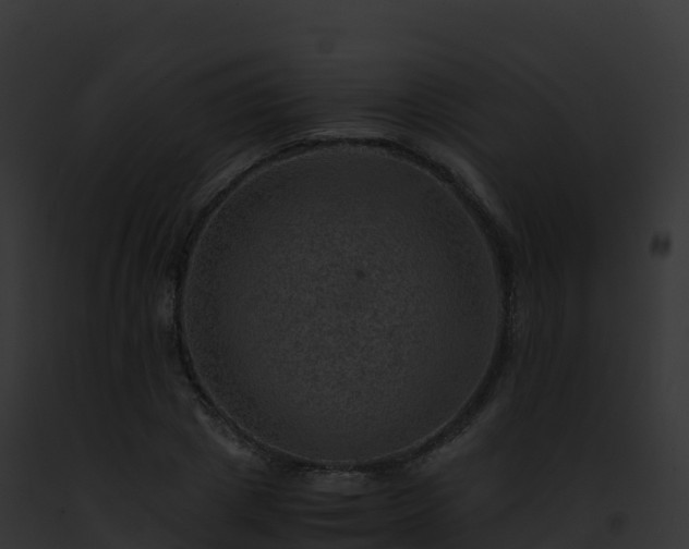 X0000093100833200710031457