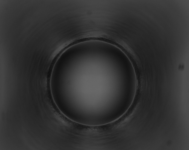X0000093100834200710031457