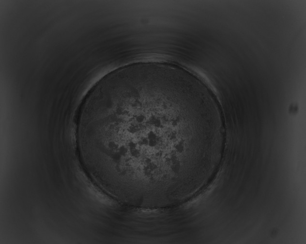X0000093100835200710031457