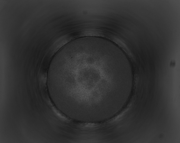 X0000093100841200710031457