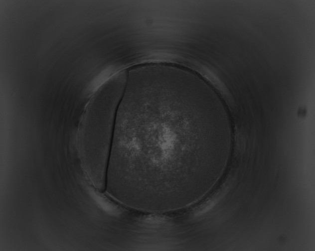 X0000093100842200710031457