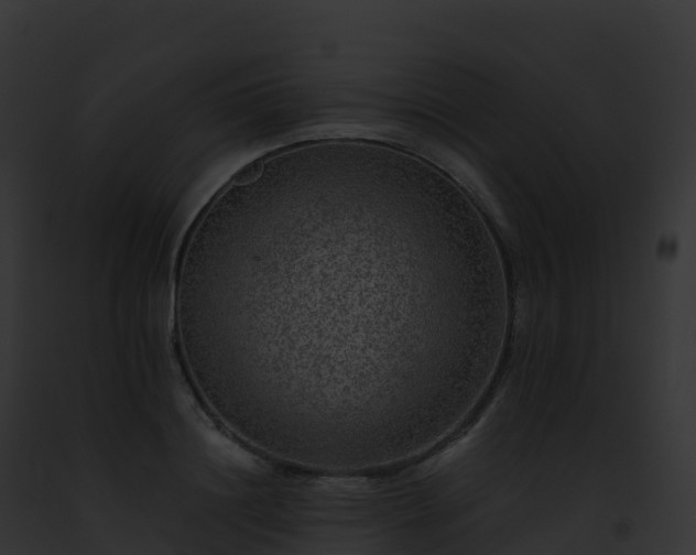 X0000093100844200710031457