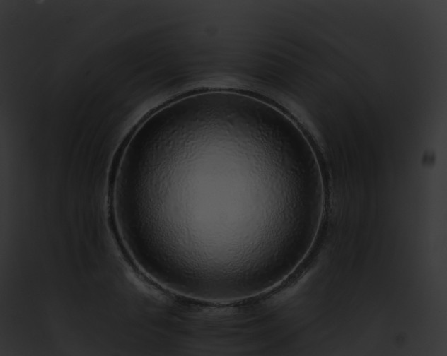 X0000093100845200710031457