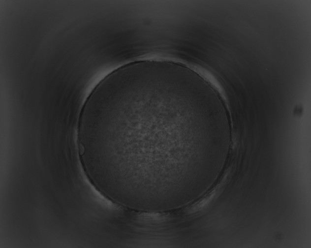 X0000093100855200710031457