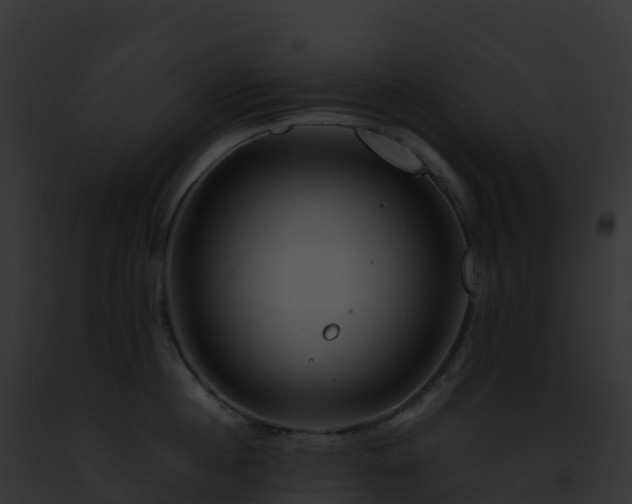 X0000093100860200710031457
