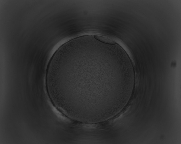 X0000093100861200710031458