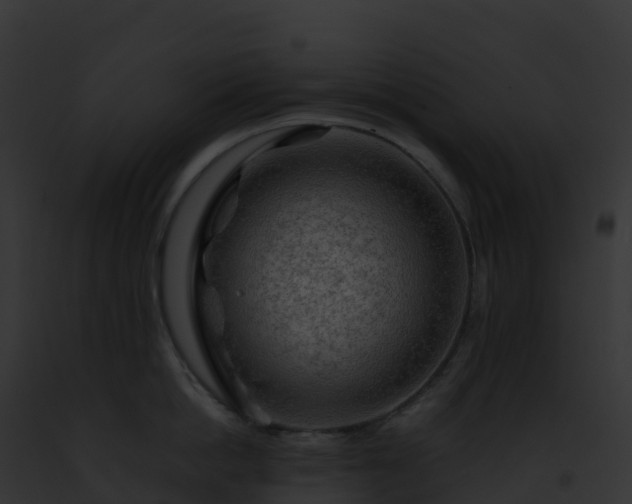 X0000093100862200710031458