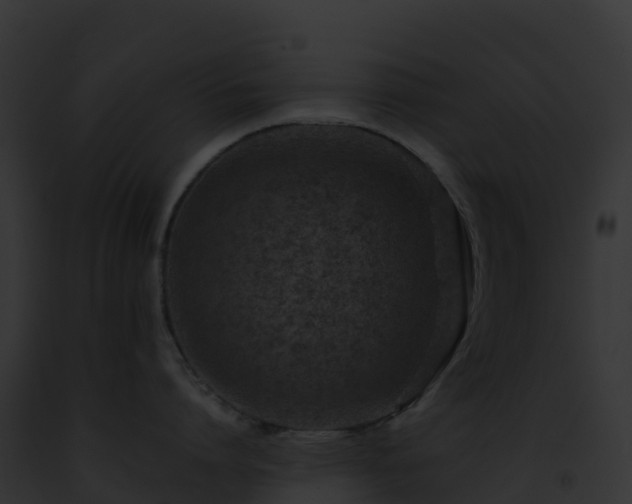 X0000093100864200710031458