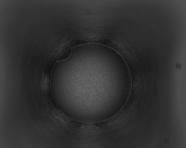 X0000093100866200710031457
