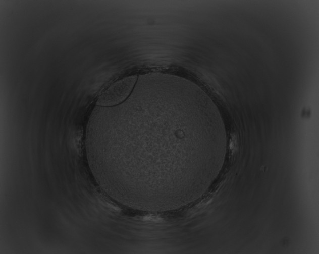 X0000093100867200710031457