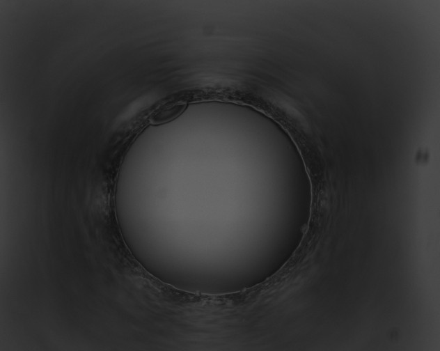 X0000093100869200710031457