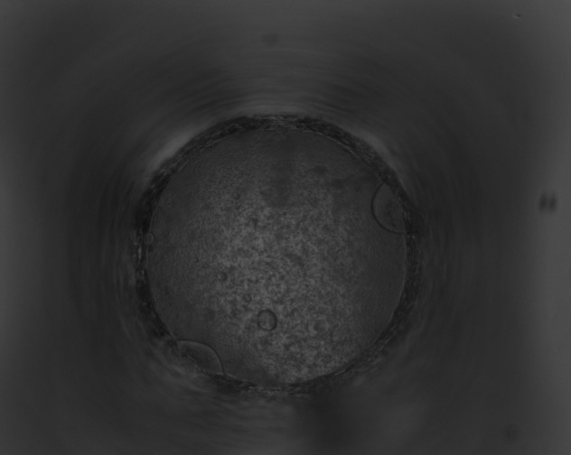 X0000093100871200710031457