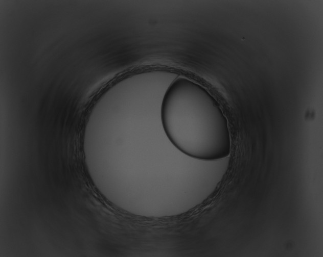 X0000093100872200710031457