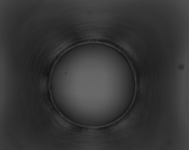 X0000093100873200710031456