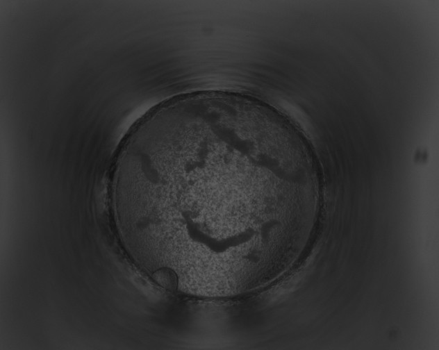 X0000093100875200710031456