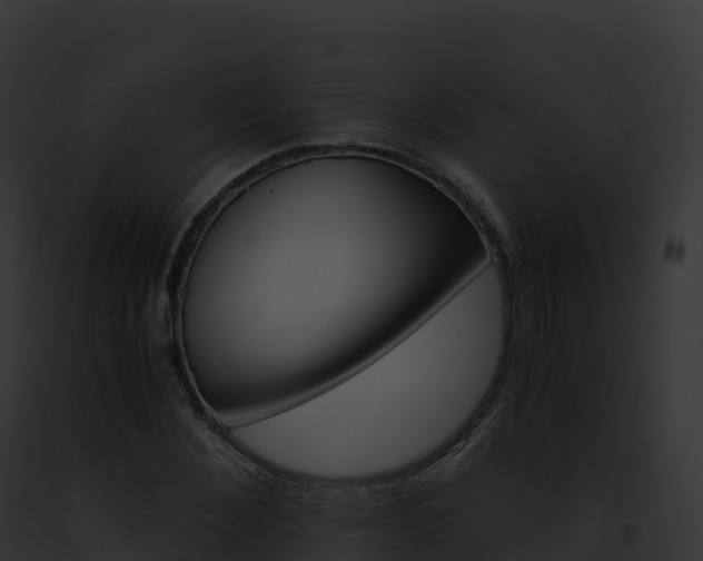 X0000093100876200710031456