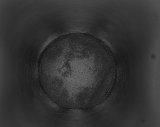 X0000093100878200710031456